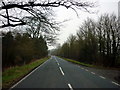 The road to Wheldrake at Thicket Priory