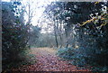 Track through Vinters Valley Nature Reserve