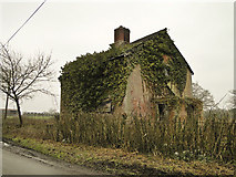 TM3667 : Derelict house at Rotten End, near Peasenhall by Adrian S Pye