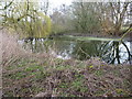 Pool at Ewdness Farm