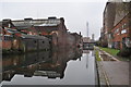 The Birmingham & Fazeley Canal