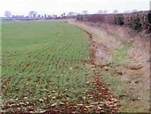 ST6116 : Arable field near Sherborne by Maigheach-gheal