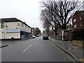 Winter trees in Sultan Road