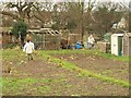 Norbury Park Allotments