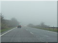 West Dorset : The A35 in Fog