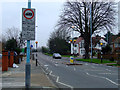 Zebra crossing on Sutton Lane