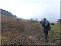 Muddy Track through a field of Welsh Black Cattle