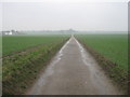 Footpath to Garlinge