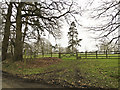 Footpath over green pastures at Cransford