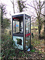 Vandalised telephone box at Kelsale