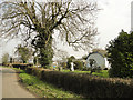 Garden beside the road at North Green