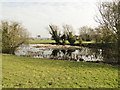 Village pond at Middleton Moor