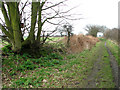 Path to the A143 road, Bradwell