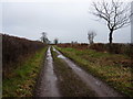 Bridleway towards Hartlebury