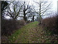 Bridleway in Hartlebury