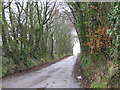 Road past Hayne Farm