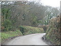 Road over Abbotsham Moor