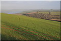 View to the Kingsbridge estuary