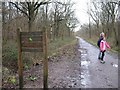 Entrance to Clanger Wood