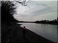 View WSW along the Thames towards Barnes