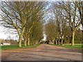 The approach to Clopton Green Farm and Hall