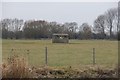 Pillbox in the field