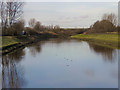 River Irwell, Lower Kersal