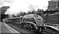 The Royal Train passing Harringay West on its way to York