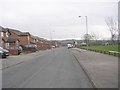 Hambledon Avenue - viewed from Wrigley Avenue