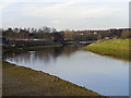 River Irwell, Lower Kersal