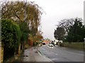 Richmond Road, Twickenham, in January