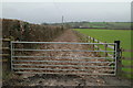 Bridleway to Lookweep Farm