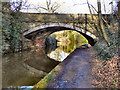 SD7400 : Bridgewater Canal, Worsley Bridge by David Dixon