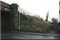 Tree felling on the Cardiff to Radyr railway line