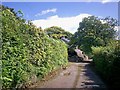 Lane to Ledgerland Farm, Llanteg