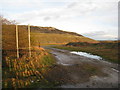 Spoil Heap near Grange Lane