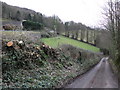 Minor road from Sticklepath to Comberrow