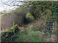 SE1111 : Field access track, Honley Wood Bottom by Humphrey Bolton