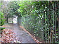 Tile Hill Lane railings