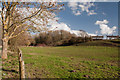 Field beside the Hoddnant - Boverton