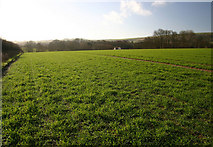 TQ4007 : Greenwich Meridian north of Iford by steve ridley