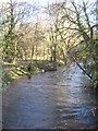 The River Fowey upstream from New Bridge