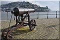 Cannon on South Embankment