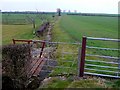 Ditch near Armscote Hill Farm