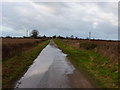 Big puddle on Catstree Lane