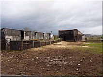 SO7495 : Sheep sheds and pens at Catstree by Richard Law