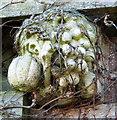 Fletcher Convalescent Home - detail