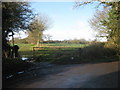 Bridleway and footpath junction on Cowgate Lane