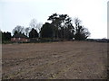 Old motte site at Chirk Bank