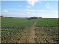 Footpath to Dawkinge Wood